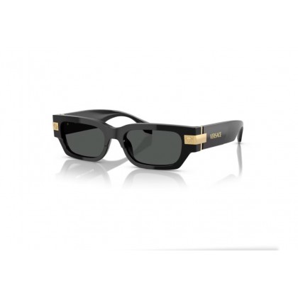 Sunglasses Versace VE 4465