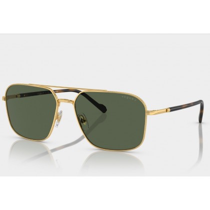 Sunglasses Vogue VO 4289S Polarized