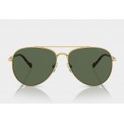 Γυαλιά ηλίου Vogue VO 4290S Polarized