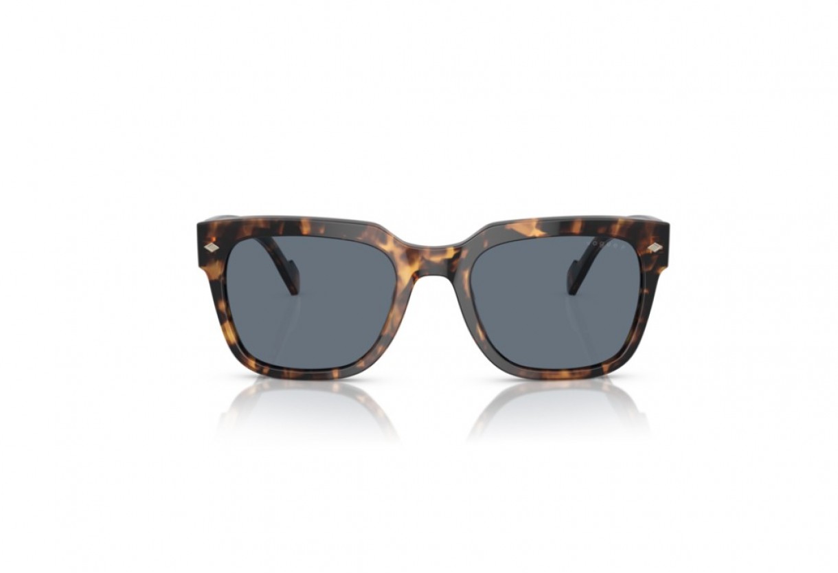 Γυαλιά ηλίου Vogue VO 5490S Polarized