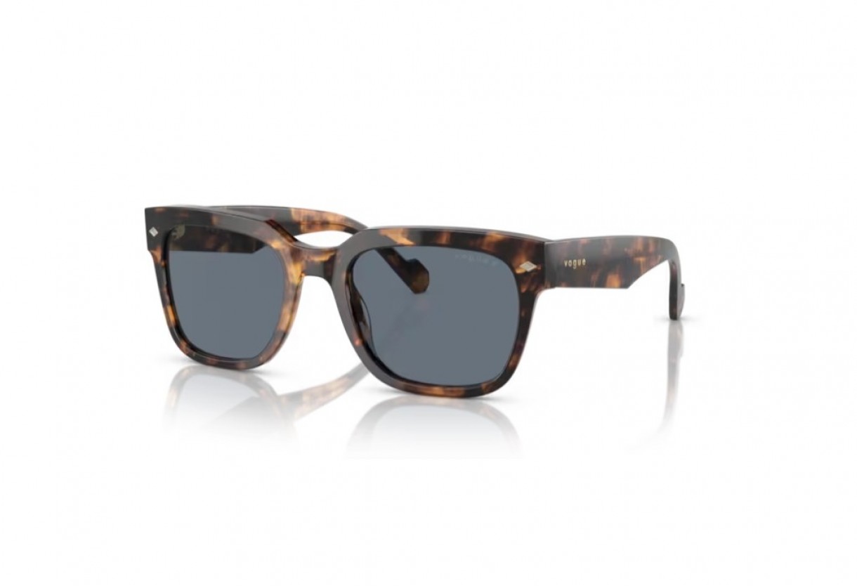 Γυαλιά ηλίου Vogue VO 5490S Polarized