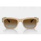 Sunglasses Vogue VO 5530S Polarized