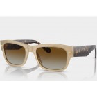 Sunglasses Vogue VO 5530S Polarized