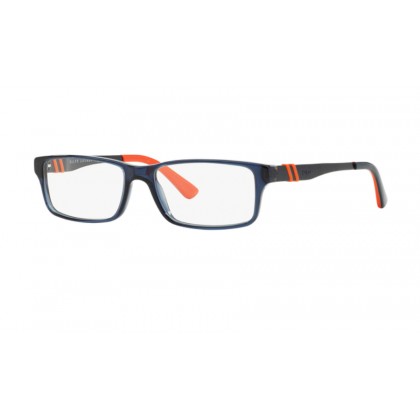 Eyeglasses Polo Ralph Lauren PH 2115