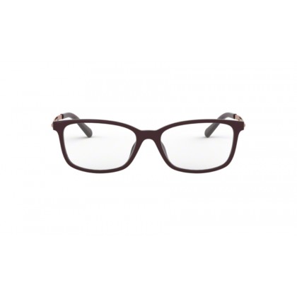 Eyeglasses Michael Kors MK 4060U Telluride